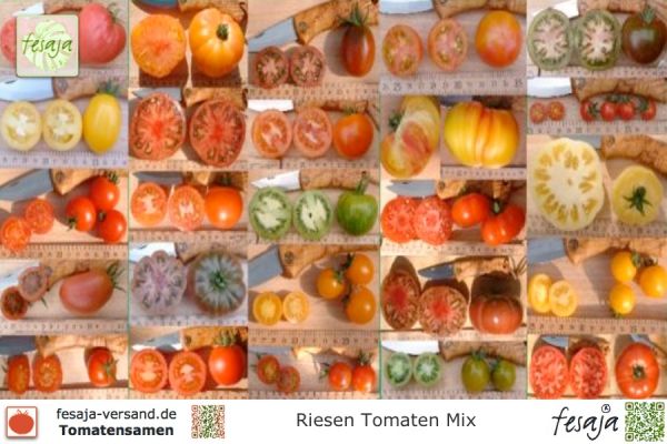 Riesen Tomaten-Mix