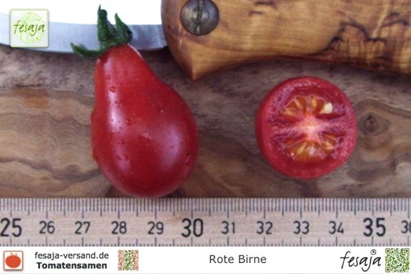 Tomate Rote Birne