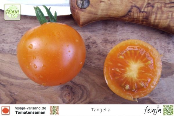 Tomate Tangella