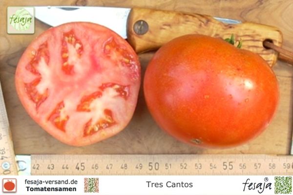 Tomate Tres Cantos