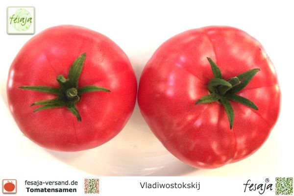 Tomate Vladiwostokskij