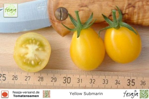 Tomate Yellow Submarin