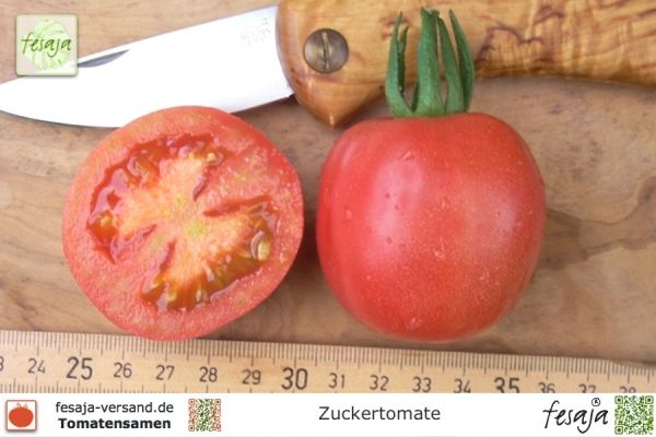 Tomate Zuckertomate