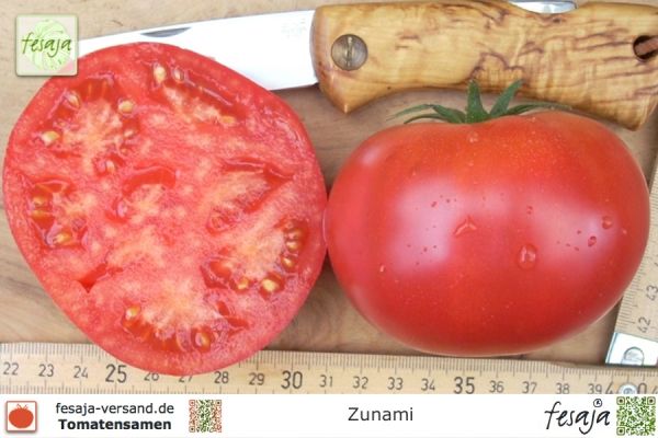 Tomate Zunami