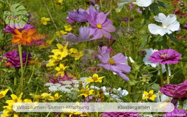 Klostergarten · Wildblumen-Samen-Mischung QR