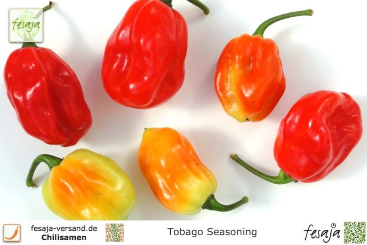 Chili Tobago Seasoning