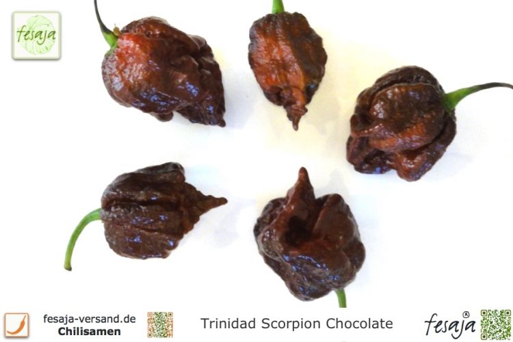 Chili Trinidad Scorpion Chocolate