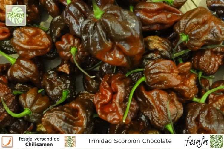 Chili Trinidad Scorpion Chocolate