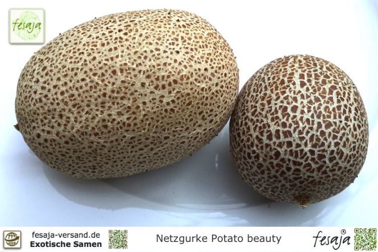 Netzgurke Potato beauty