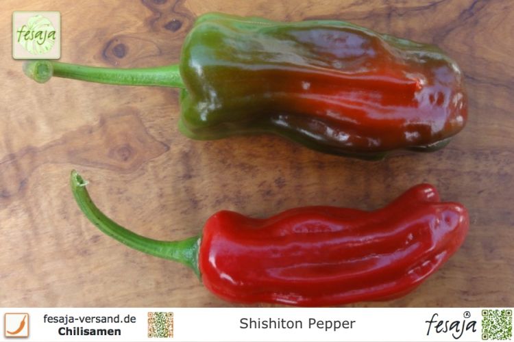Paprika Shishiton Pepper