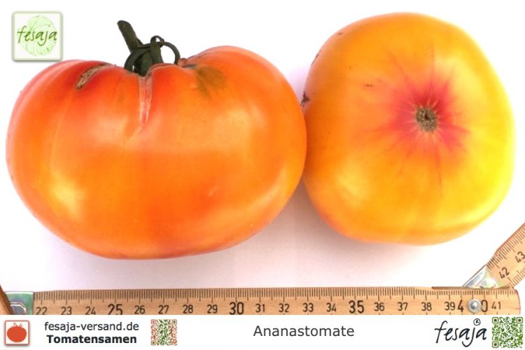 Tomate Ananastomate