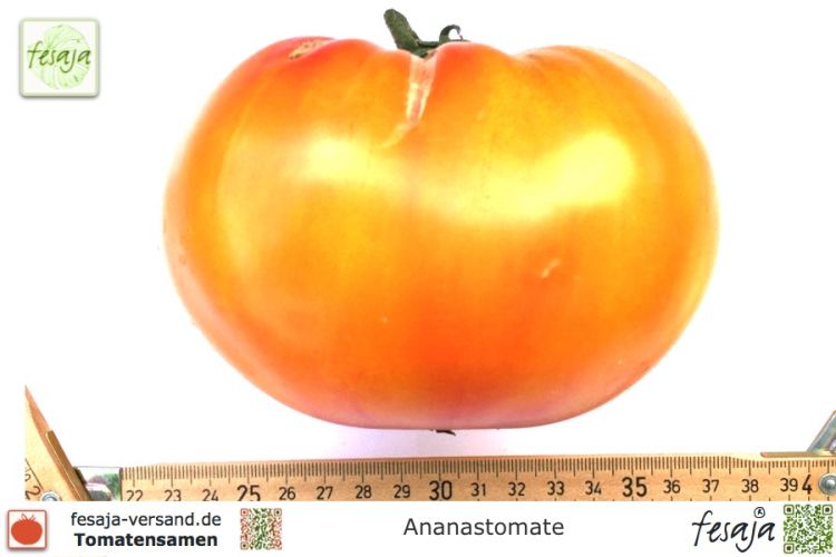 Tomate Ananastomate