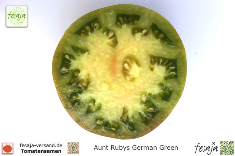 Tomate Aunt Rubys German Green