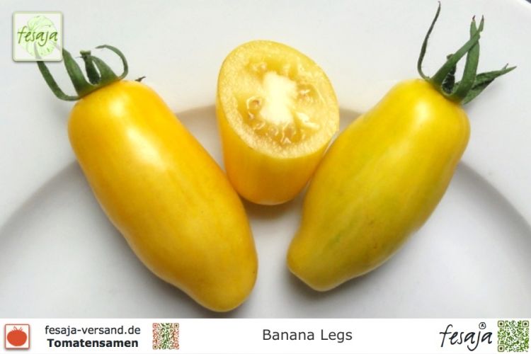 Tomate Banana Legs