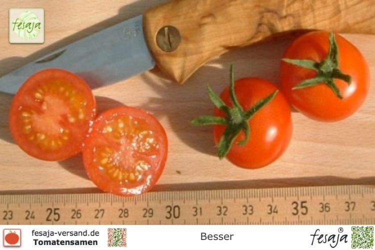 Tomate Besser