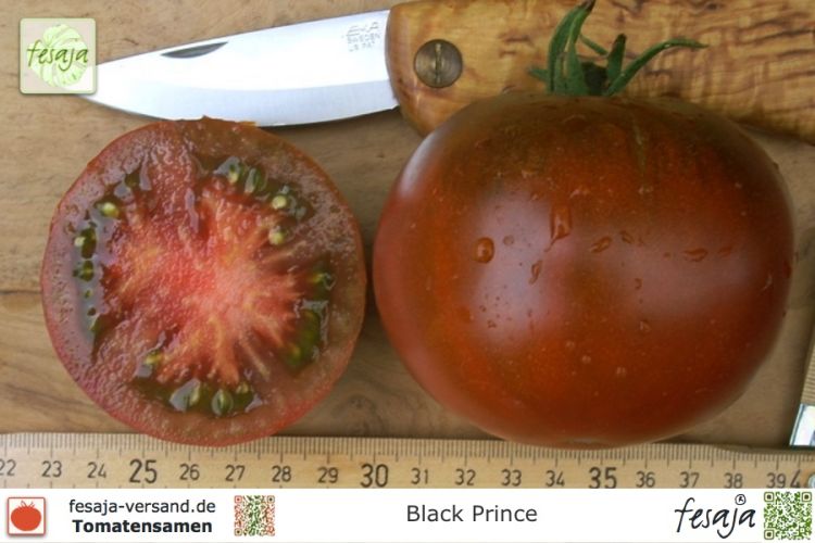 Tomate Black Prince