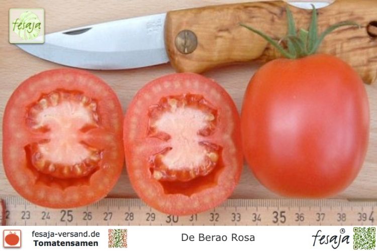 Tomate De Berao Rosa