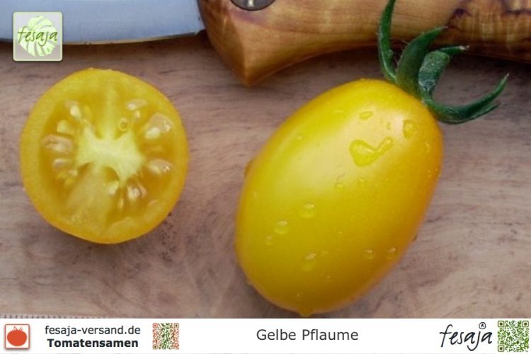 Tomate Gelbe Pflaume