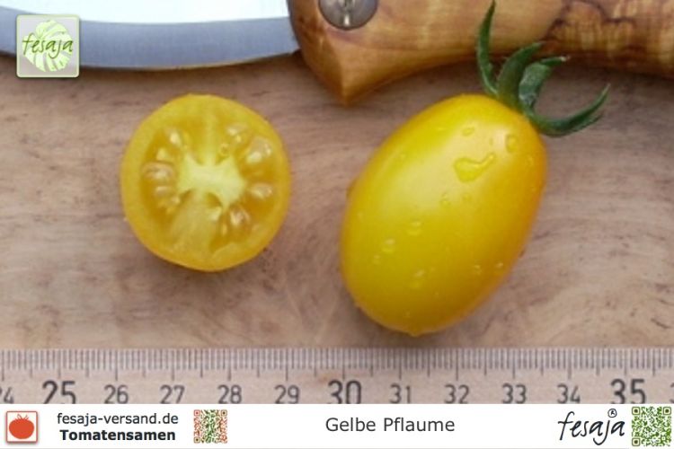Tomate Gelbe Pflaume