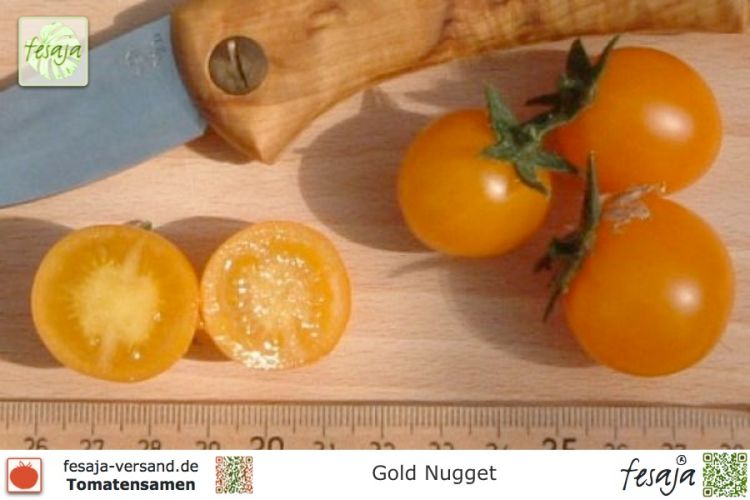 Tomate Gold Nugget