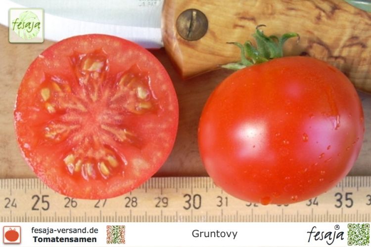 Tomate Gruntovy