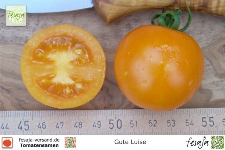 Gute Luise · Tomaten · Samen