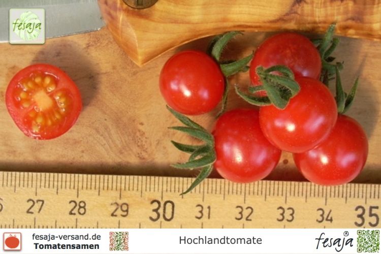 Tomate: Hochlandtomate