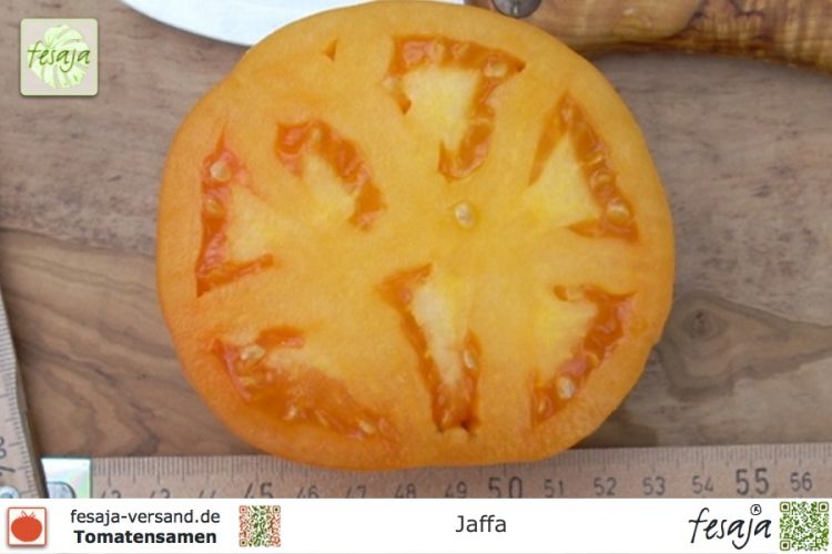 Tomate Jaffa