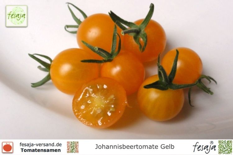 Tomate Johannisbeertomate Gelb