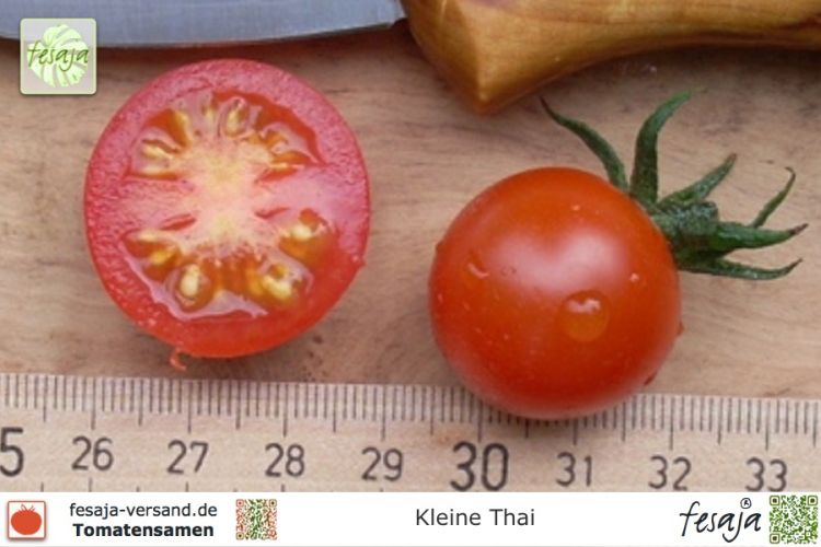 Tomate Kleine Thai