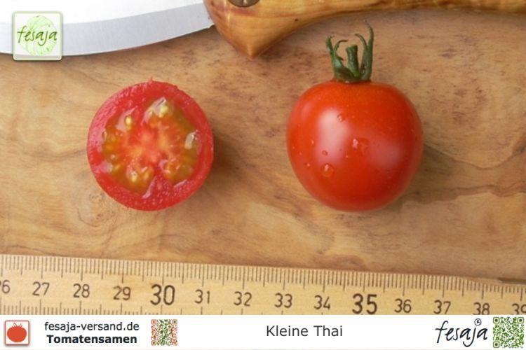 Tomate Kleine Thai