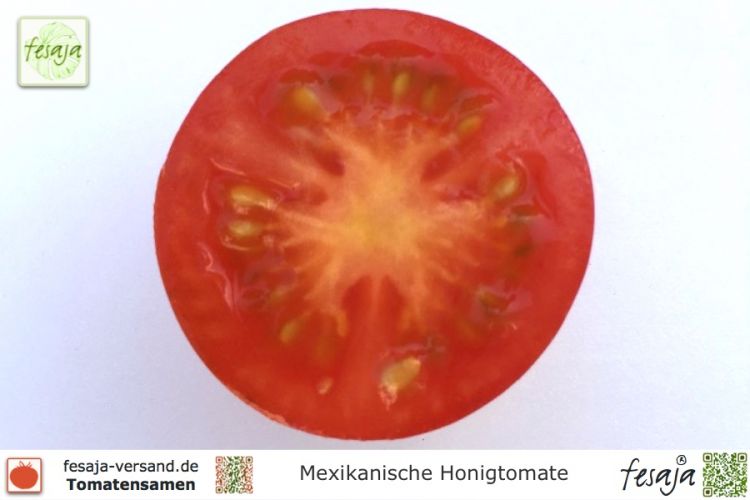 Tomate Mexikanische Honigtomate