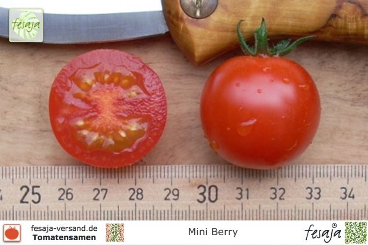 Tomate Mini Berry