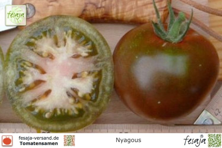 Tomate Nyagous