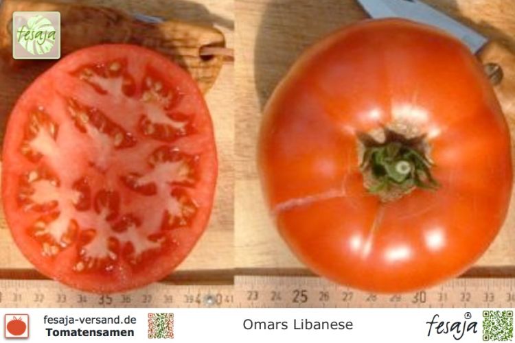 Tomate Omars Libanese