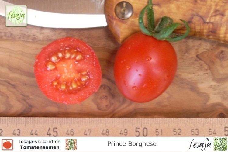 Tomate Prince Borghese