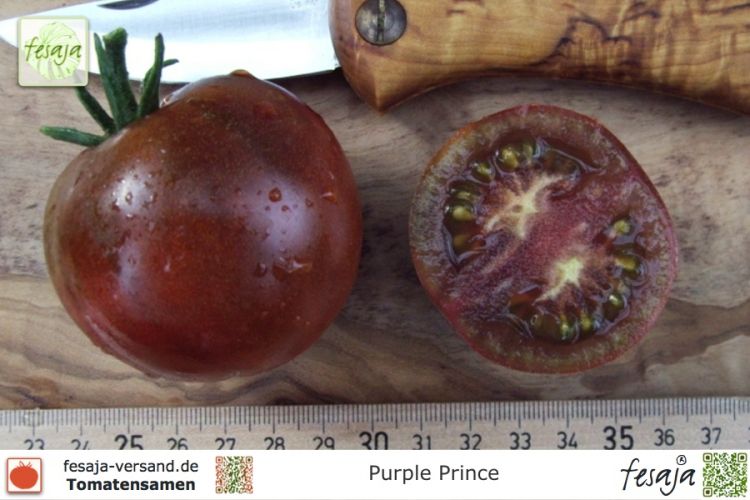 Tomate Purple Prince