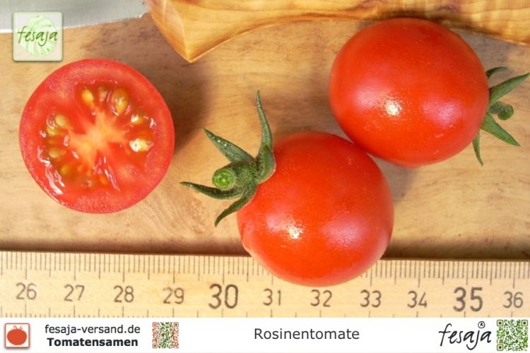 Tomate Rosinentomate