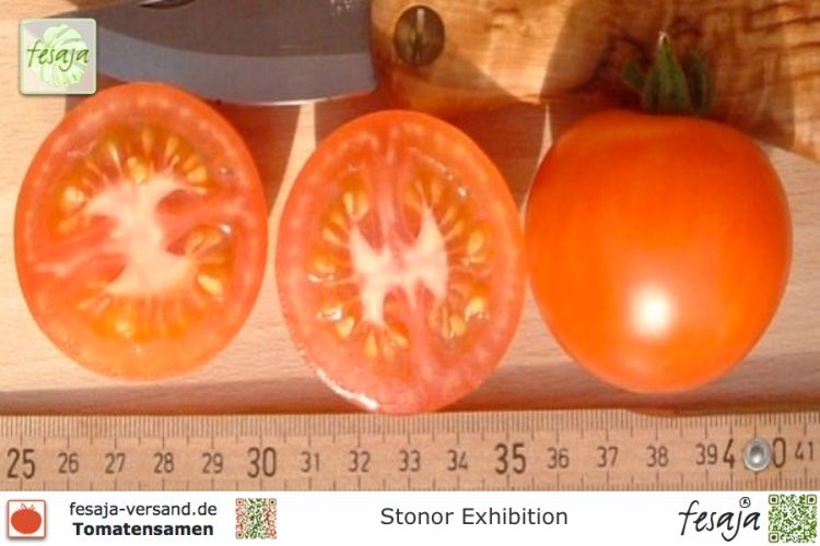 Tomate Stonor Exhibition