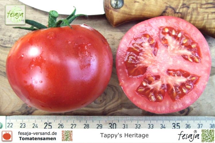 Tomate Tappys Heritage
