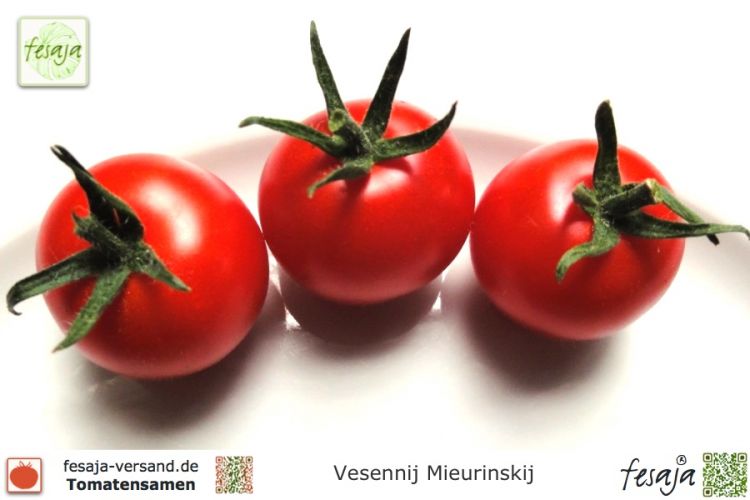 Tomate Vesennij Mieurinskij