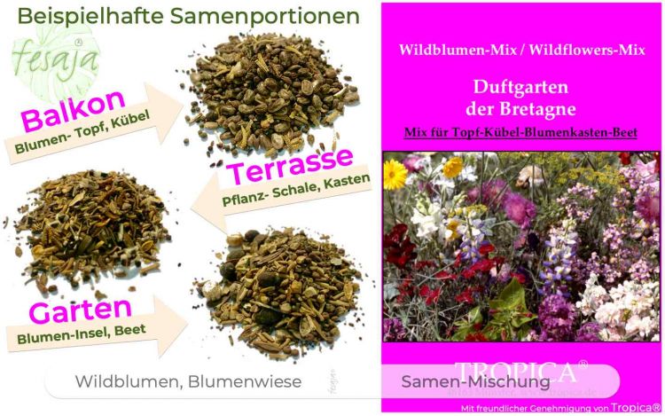 Duftgarten · Wildblumen Mischung